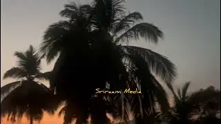 Crows sound effect 🎊sound makes good 👍#viral #trending #viralvideo #entertainment #crows #crowsounds