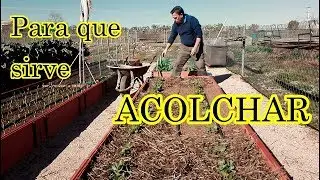 El Acolchado en el Huerto || El Huerto de Silverio