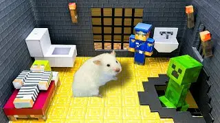 DON'T IGNORE 🐹 The Best Hamster Minecraft Maze Challenge