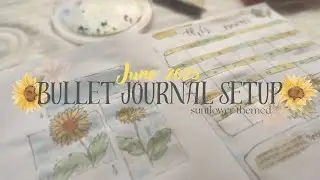 June 2025 Bullet Journal Setup l Ray Core
