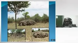 Megalithic Cultures of South India | Prof V Selvakumar | ASC IITGN