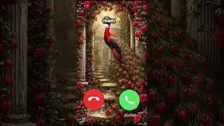 USA incoming call, Brazil call screen, aesthetic call animation, peacock incoming call./ #call