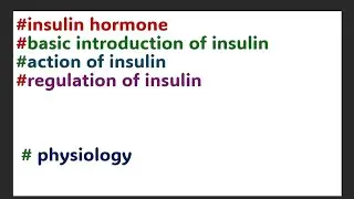 # insulin hormone - basic introduction# action of insulin#regulation of insulin # Physiology