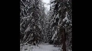Severe Frost -Заиндевелые поля