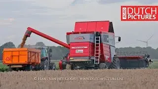 Tarwe dorsen met Massey Ferguson 7278 CEREA | Harvesting wheat | Weizen | 2017