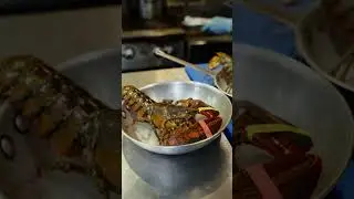 Live Lobsters at The Daily Catch North End