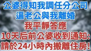 公婆得知我調任到分公司，逼老公與我離婚，我沒鬧，平靜答應。10天后前公婆收到通知：因職務調整，請於24小時內搬離單位住房！#婚姻經營 #人生感悟 #故事分享 #故事頻道 #雪兒講故事 #情感故事