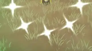 Bug Shiny✨ Pokemon Pgsharp Pokemon Go