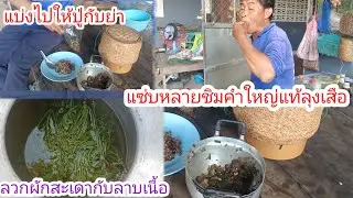 พ่อครัวเสือจัดเมนูนี้แต่เช้า!!ลวกดอกสะเดา!!ทำแล้วตักแบ่งให้ปู่กับย่า