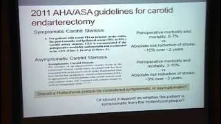 Should Patients With Hollenhorst Plaques Have Carotid Ultrasounds and Echocardiograms: