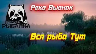 РР4 #10 Река Вьюнок. Универсальная точка для Заказов в кафе!!!
