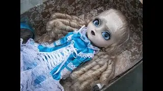 GROOVE Pullip Regeneration PRINCIPESSA RE-816