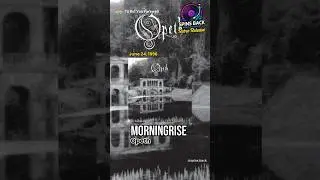Retro Release: Opeth &ndash; Morningrise | 29th Anniversary Today #Opeth #ProgressiveMetal #Metal