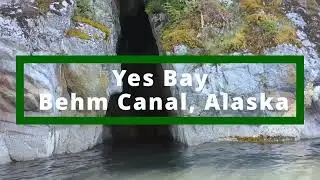 Yes Bay - NW Behm Canal, AK 2022