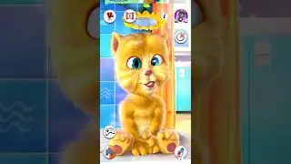 Talking Ginger Laughing 😂😂😹😹