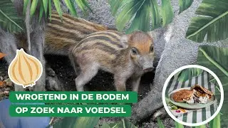Een modderige Meet & Greet in Blijdorp | Keuken Blijdorp 🥕🥙