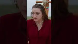 Jawan Larki Aur Khatarnaak Jungle 😮🔥 | Momina Iqbal | #shorts #greenlamhay #dokinaray