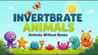 Science Education For Kids,Nature And Wildlife,Vertebrates Vs Invertebrates