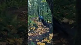 Nice riding by @markymath #mtb #mtblife