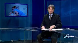 TG Molise delle ore 14.00 del 08/12/2025