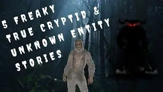 5 Freaky True Cryptid and Unknown Entity Stories