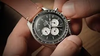 Обзор Omega Speedmaster Speedy Tuesday | Watchfinder