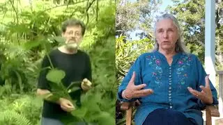 Kathleen Harrison & Terence McKenna - Botanical Dimensions