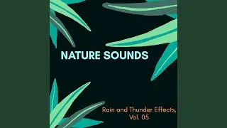 Acoustical Wind in Soft Rain