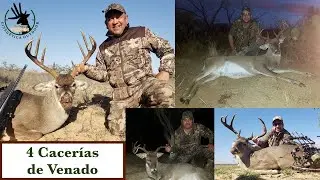 Caza de 4 Venados con Rifle y Arco en Grandes Trofeos