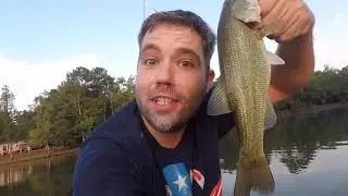 Lake Wateree - Taylor's Branch - Kayak Fishing for Bass - 9/28/19