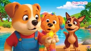 Tiny Goldfish, Giant Catch Nala Outsmarts Brutus & Poppy | Puppy Dog TV