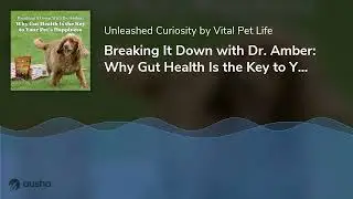 Breaking It Down with Dr. Amber: Why Gut Health Is the Key to Your Pet&rsquo;s Happiness A Podcast For Dog