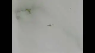 WWII Triple Ace Bud Anderson gun camera film - 8 May 1944.