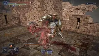 ELDEN RING NIGHTREIGN: Bullying Royal Carian Knight