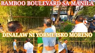 New Project Bamboo Boulevard Target Neto! Beautification, Panipsip sa Tubig at Carbon Dioxide