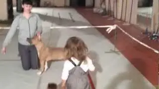 20130209 175500