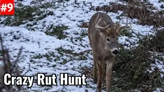 Action Packed Rut Hunt Public Land 