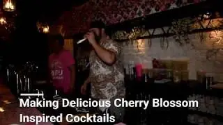 Cherry Blossom Pub