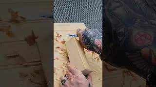 Slow cutting. #shorts #woodworking #wood #fyp