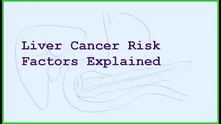 HCC Risk Factors: Who Gets Liver Cancer and Why?