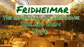 Fridheimar, The restaurant in a greenhouse | Unique dining Experience |Iceland Gem | Tour |Day 6