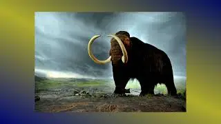 SCHOUWEN DUIVELAND IN DE PREHISTORIE