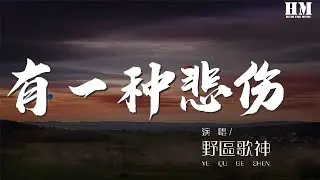 野区歌神 - 有一种悲伤（翻自 群星） 『有一种悲伤 作曲 : 张简君伟』【動態歌詞Lyrics】