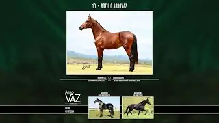 10 R&Oacute;TULO AGROVAZ