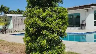 1108 Tangelo Isle, Fort Lauderdale, FL-Waterfront Home Inspection Day