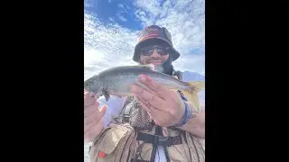 S:05-E:28-PNWTS - 26Sept24 #summitlake #thurstoncounty #kokanee #perch #trout #multispecies #kayak