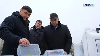 ТҮРКІСТАН ОБЛЫСЫНДА ЗАМАНАУИ ТҰҚЫМБАҚ САЛЫНУДА