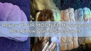 Review YOUR MOON Fluffy Support Bed Pillow Queen Size, Super Soft Premium Down-Alternative Filling f