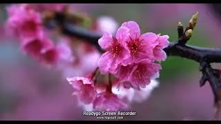 東京オリンピック2020テーマ曲　(*˘︶˘*).:*♡　閃光の光陰　NO.19　Dream&Peace　( ˘͈ ᵕ ˘͈ )♡