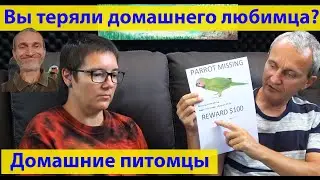 Вы просыпаетесь утром, а в доме тишина. Встречать рассвет некому. (видео 399)